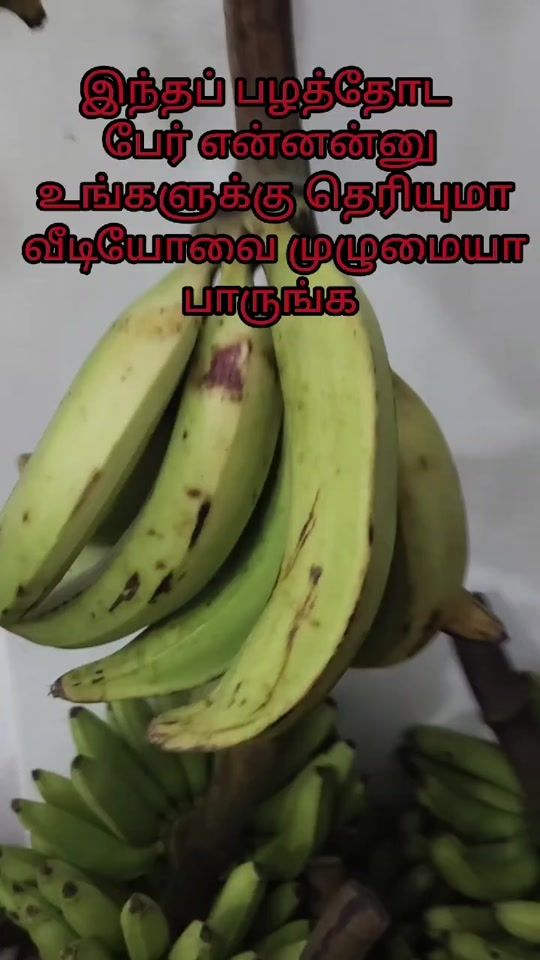 TikTok video thumbnail by fowstee
