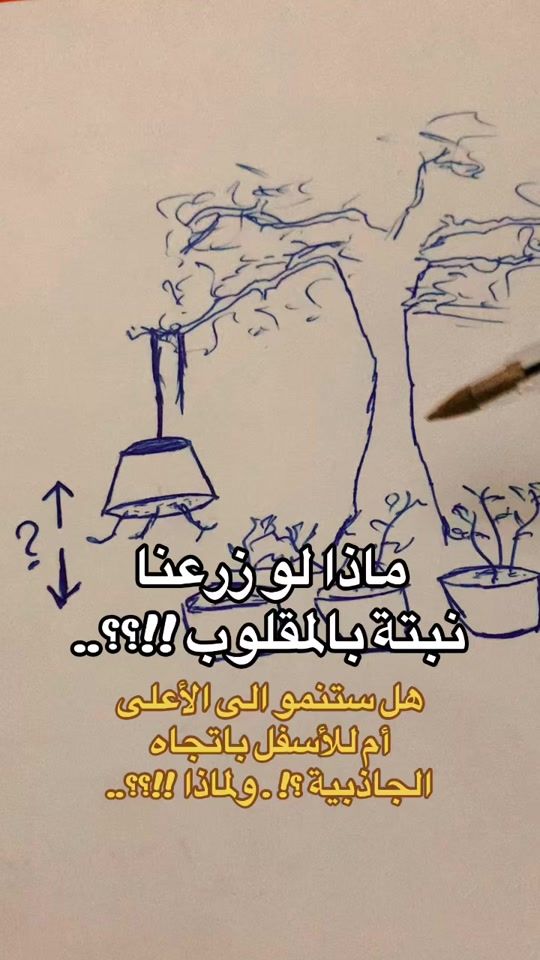 TikTok video thumbnail by damajowski_lb