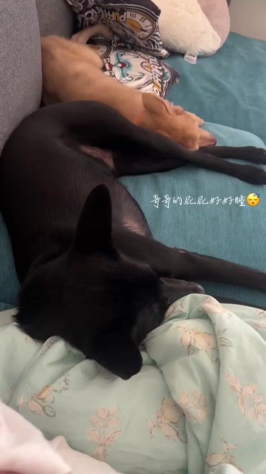 TikTok video thumbnail by pd_0115