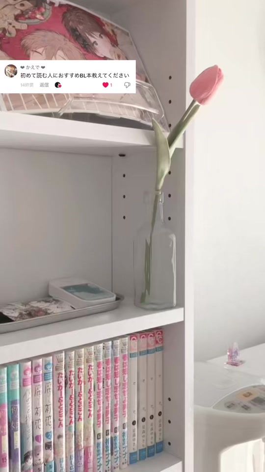 TikTok video thumbnail by tulip.bl_1122