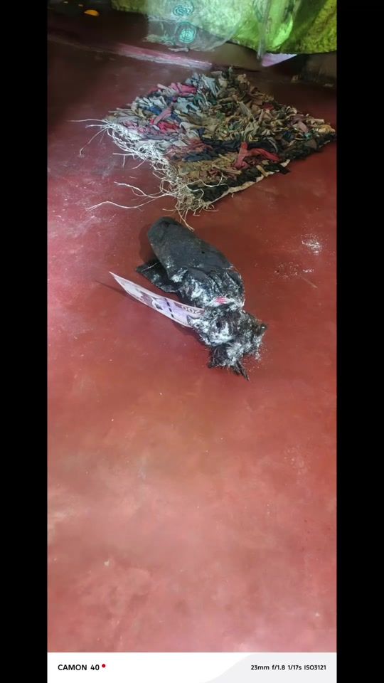 TikTok video thumbnail by buga1890