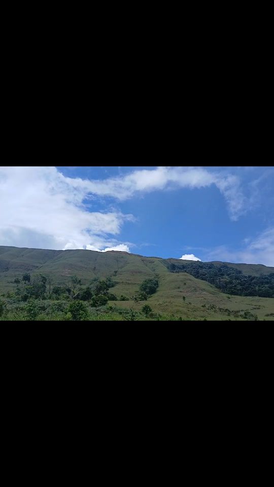 TikTok video thumbnail by liccethpeinero
