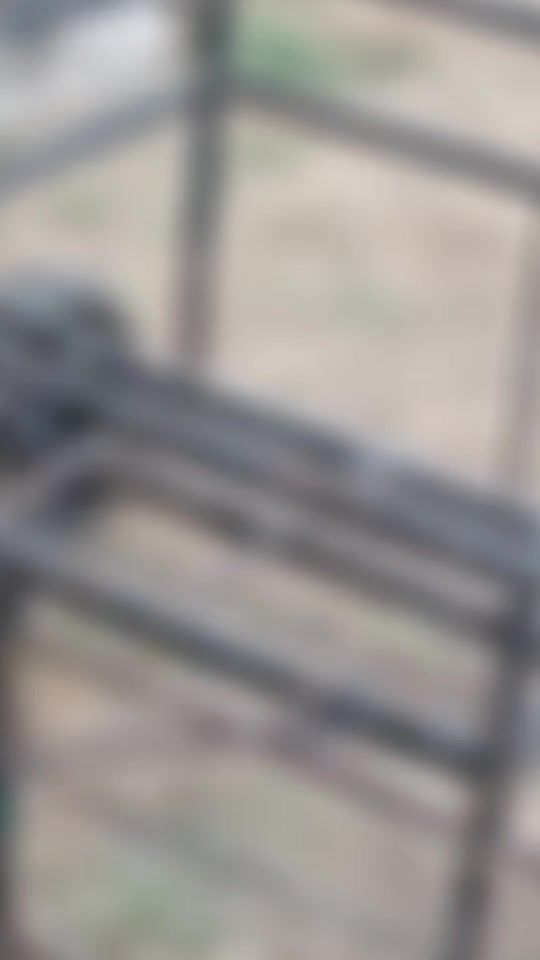 TikTok video thumbnail by xochiltvcg