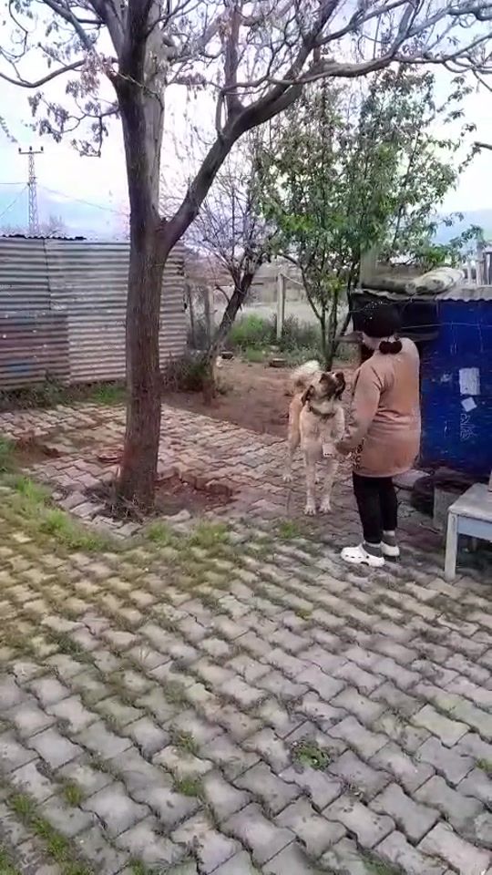 TikTok video thumbnail by 2019.zazafattee