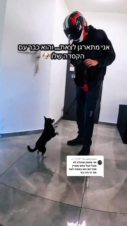 TikTok video thumbnail by shimi_toto