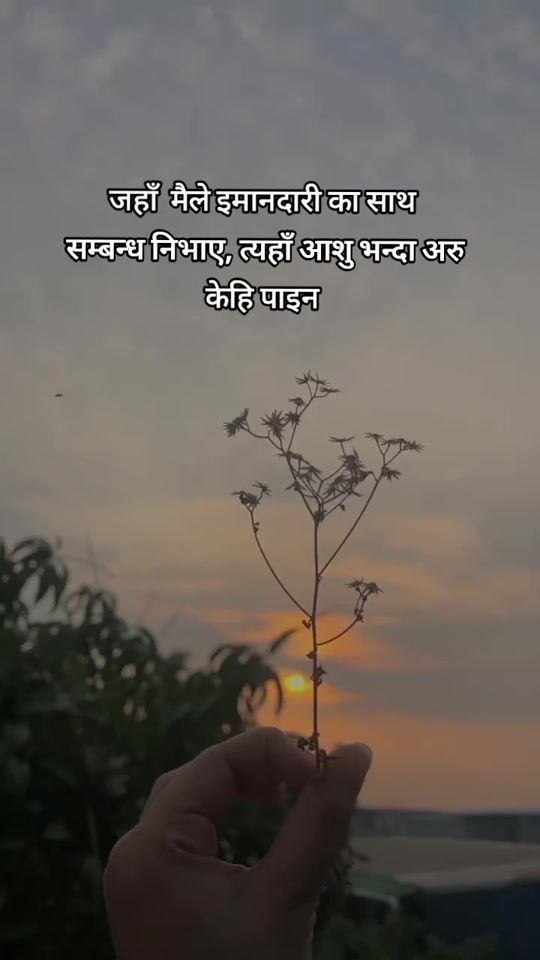 TikTok video thumbnail by __shreeyaaaa14