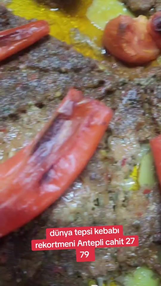 TikTok video thumbnail by antepli.cahit