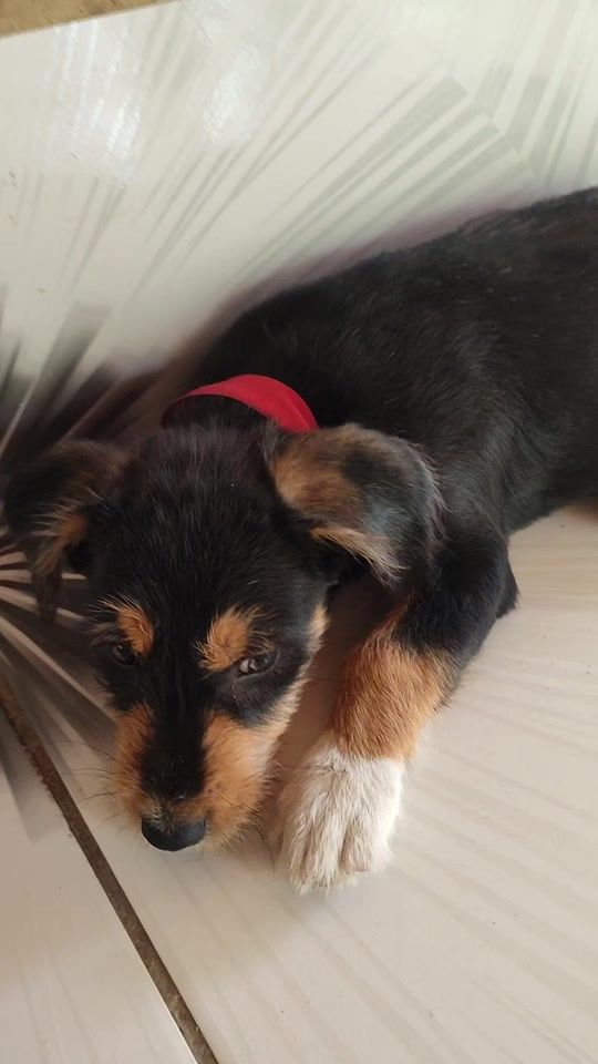 TikTok video thumbnail by aleportillo0024