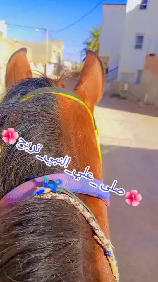 TikTok video thumbnail by ghaliafif2