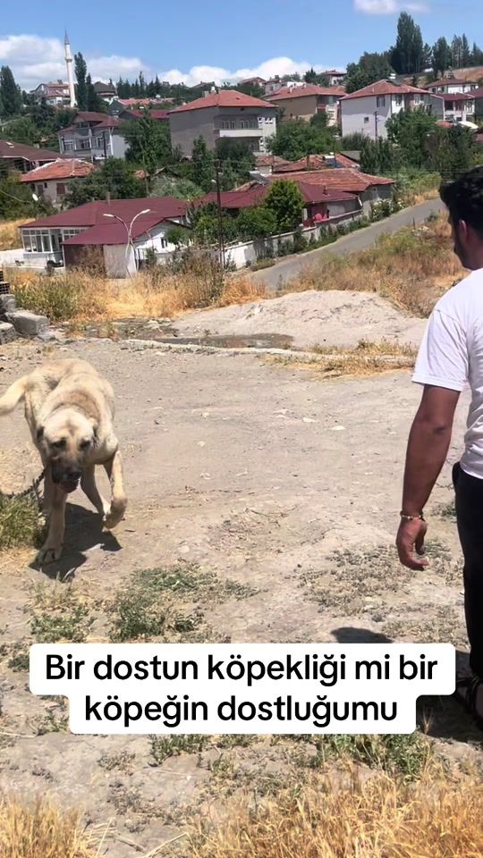 TikTok video thumbnail by serkan.akalan