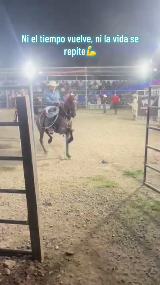 TikTok video thumbnail by arjobuca15