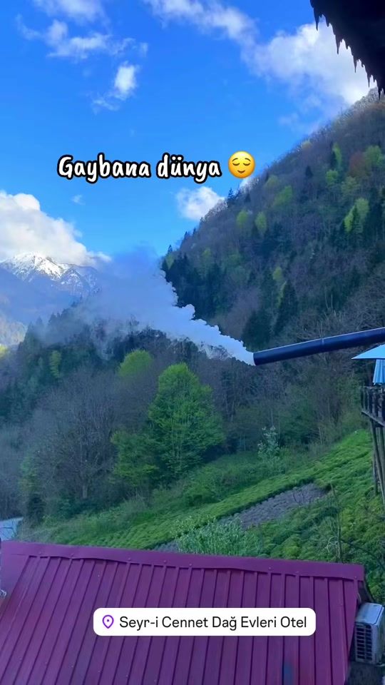 TikTok video thumbnail by eslemalemdar61