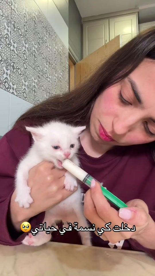 TikTok video thumbnail by hanounettee