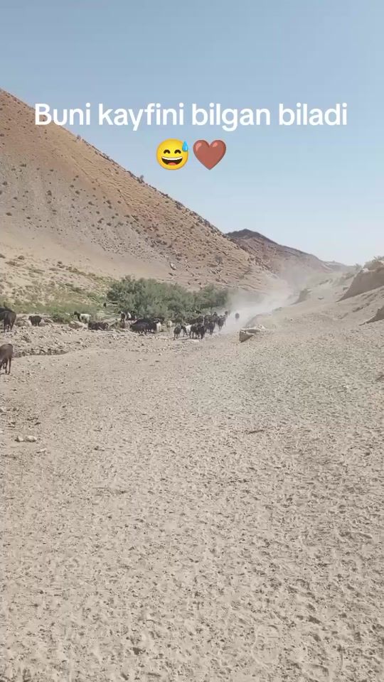 TikTok video thumbnail by yuldoshov_abdulhakim_005