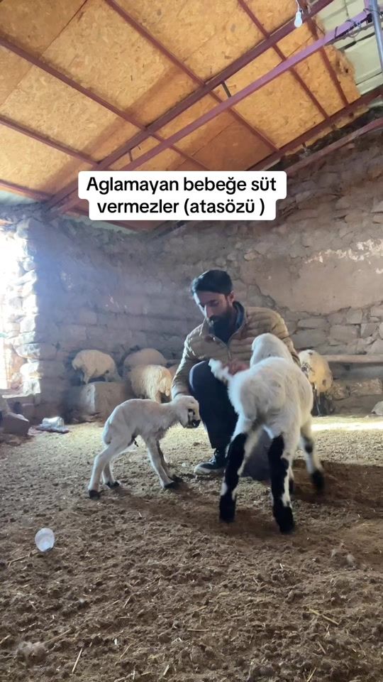 TikTok video thumbnail by saddam.1453