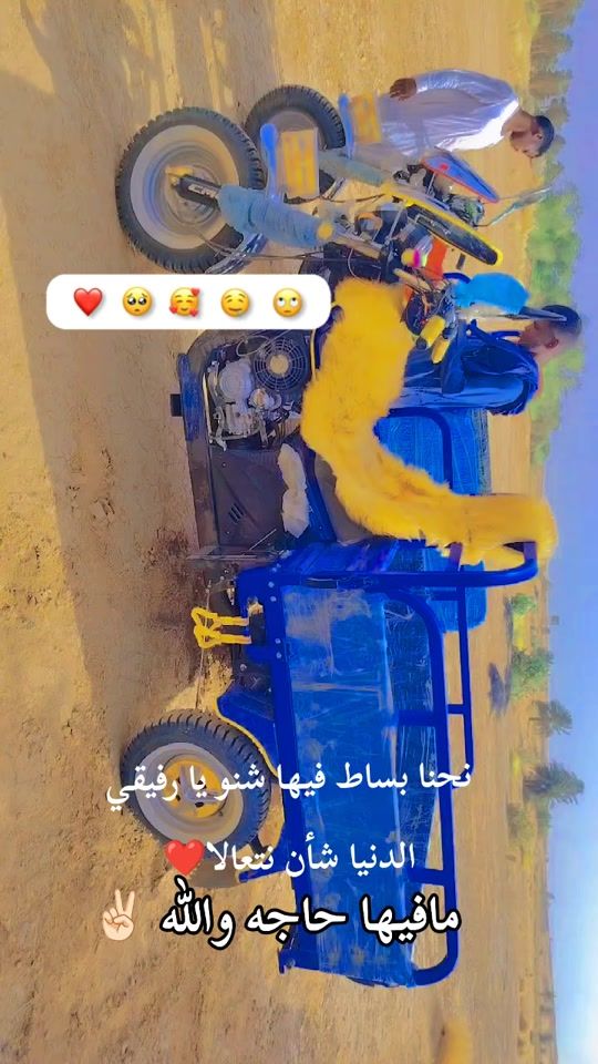 TikTok video thumbnail by ramei59