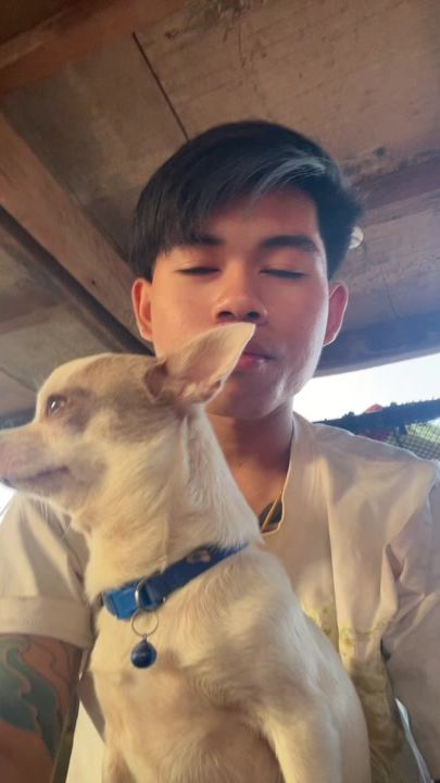 TikTok video thumbnail by maibansuan3