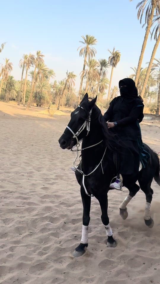 TikTok video thumbnail by basant_allam
