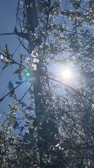 TikTok video thumbnail by hej.ny