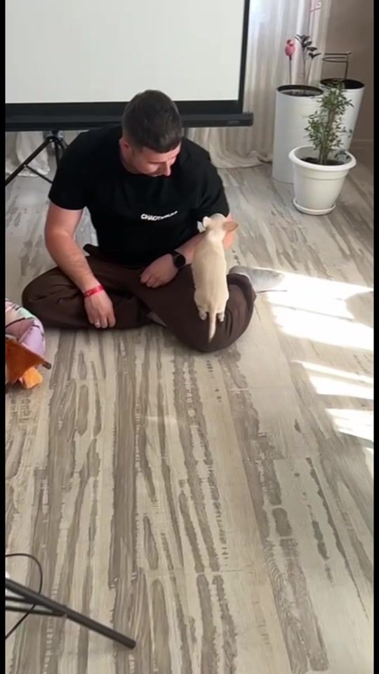 TikTok video thumbnail by katya.belarus