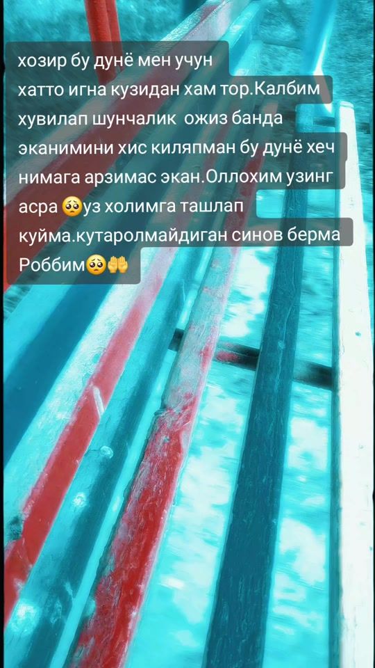 TikTok video thumbnail by nilufar535