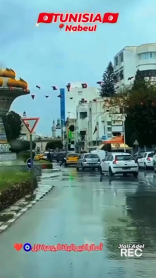 TikTok video thumbnail by jlali.adel