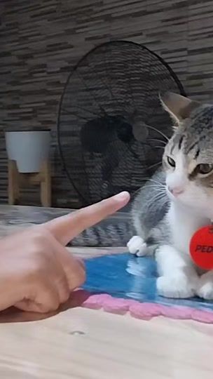 TikTok video thumbnail by maguiito5