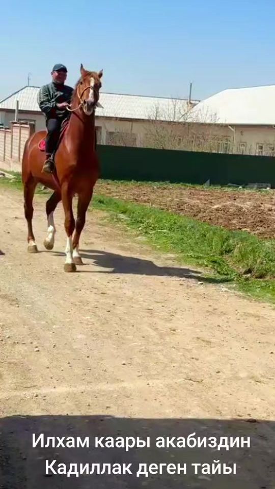 TikTok video thumbnail by jeki9305