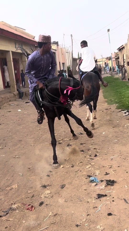 TikTok video thumbnail by dan.abu2