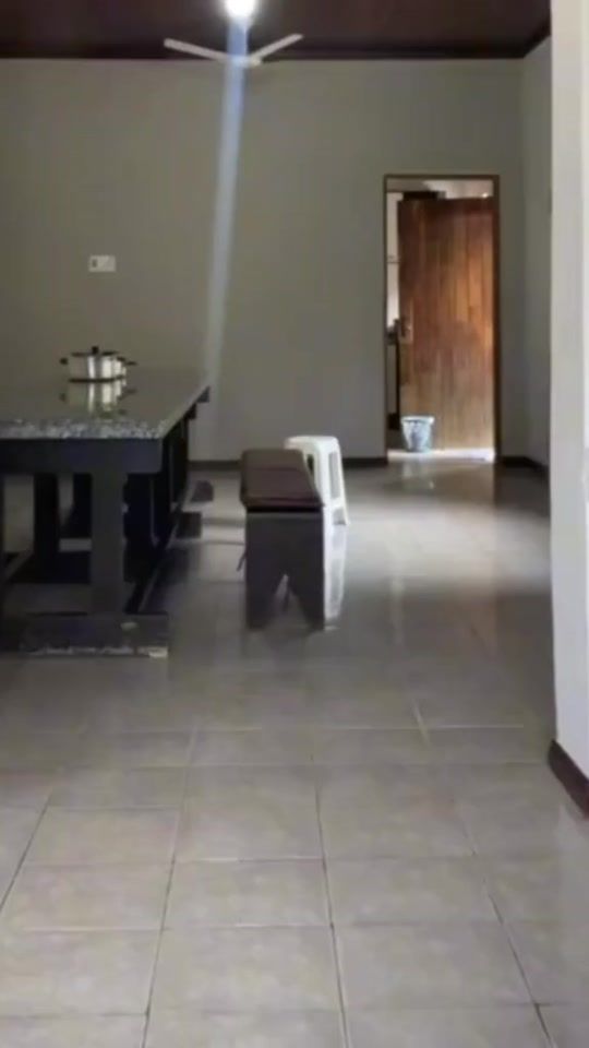 TikTok video thumbnail by ositopooh33