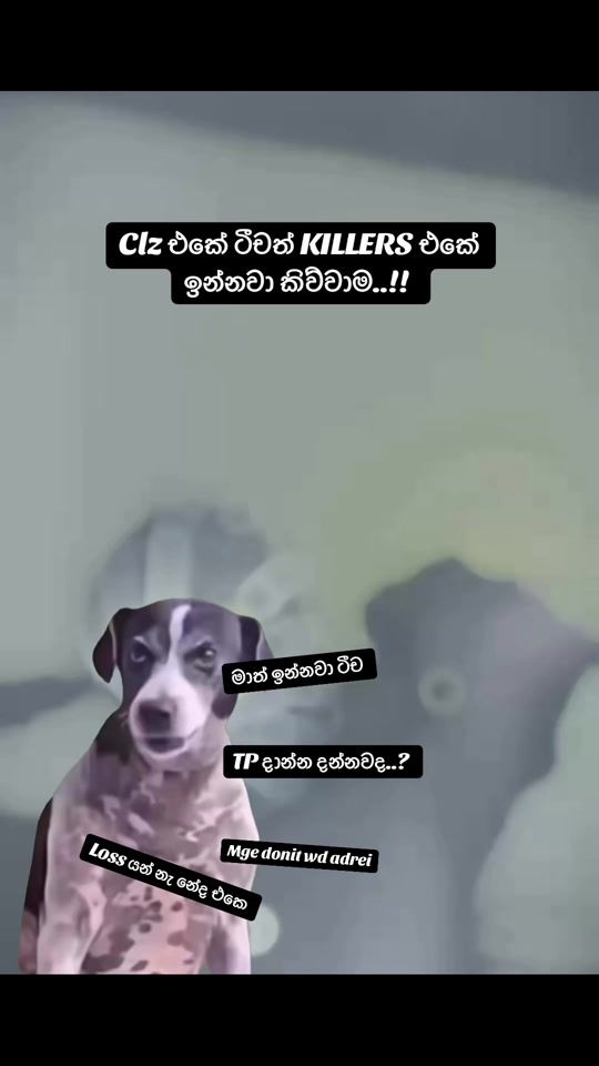 TikTok video thumbnail by dila_vip1