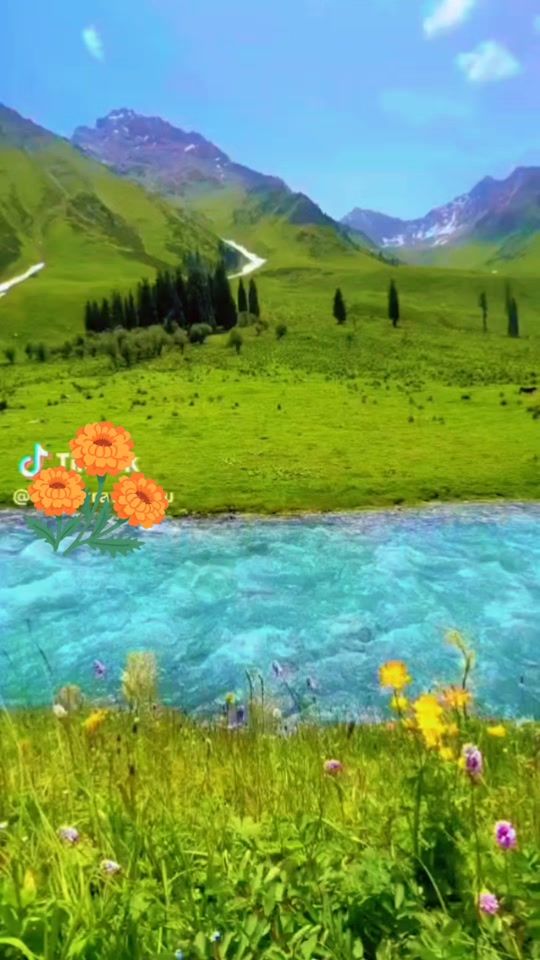 TikTok video thumbnail by gs.sheebani