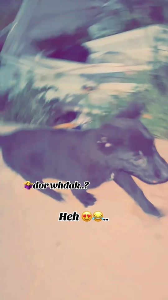 TikTok video thumbnail by ne_ymar25