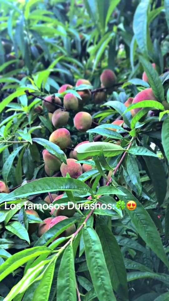 TikTok video thumbnail by winder.hernndez23