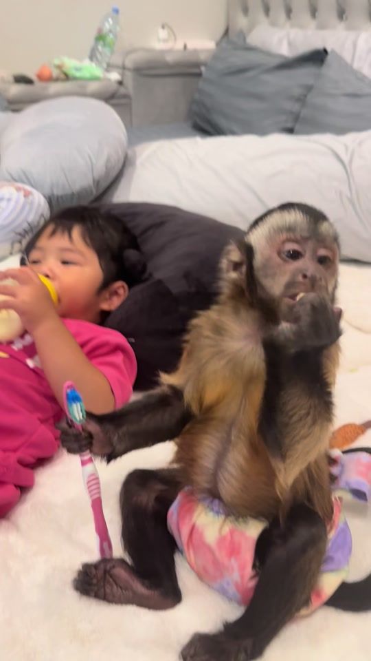 TikTok video thumbnail by jasmine_abu2