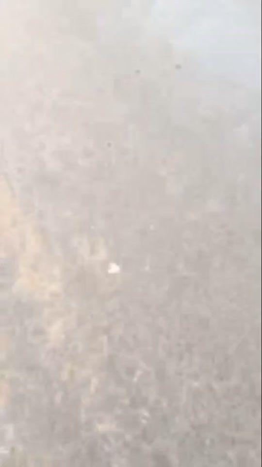 TikTok video thumbnail by just_lloyd_