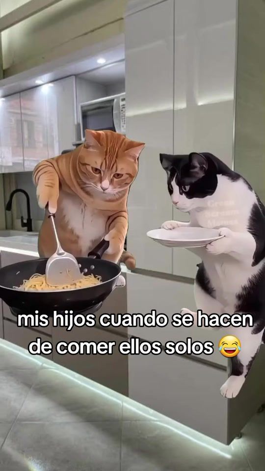 TikTok video thumbnail by ceciliaguev1