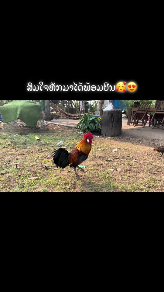 TikTok video thumbnail by keo98133