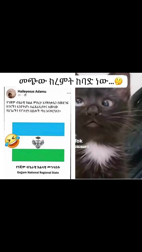TikTok video thumbnail by raskassa11