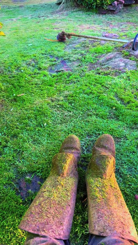 TikTok video thumbnail by dada6562