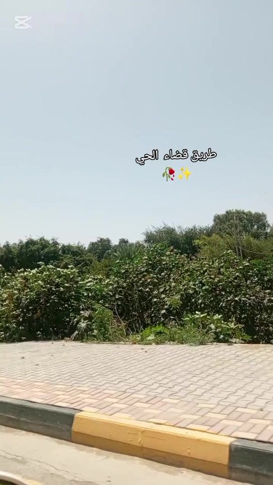 TikTok video thumbnail by mlakm43