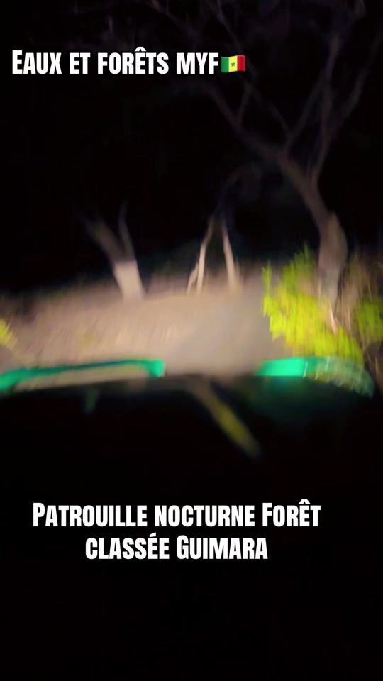 TikTok video thumbnail by lt_naturel_forestier