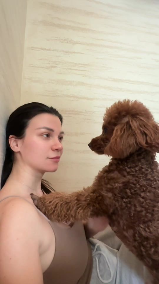 TikTok video thumbnail by maru.blog