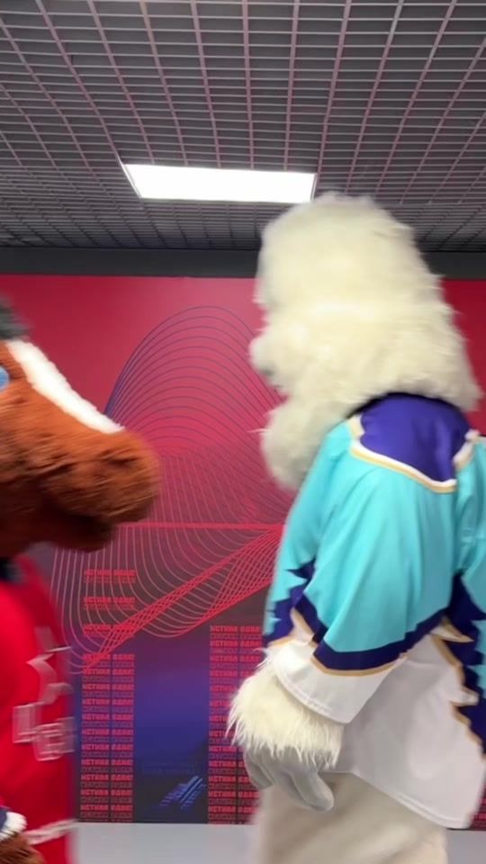 TikTok video thumbnail by kruthockey