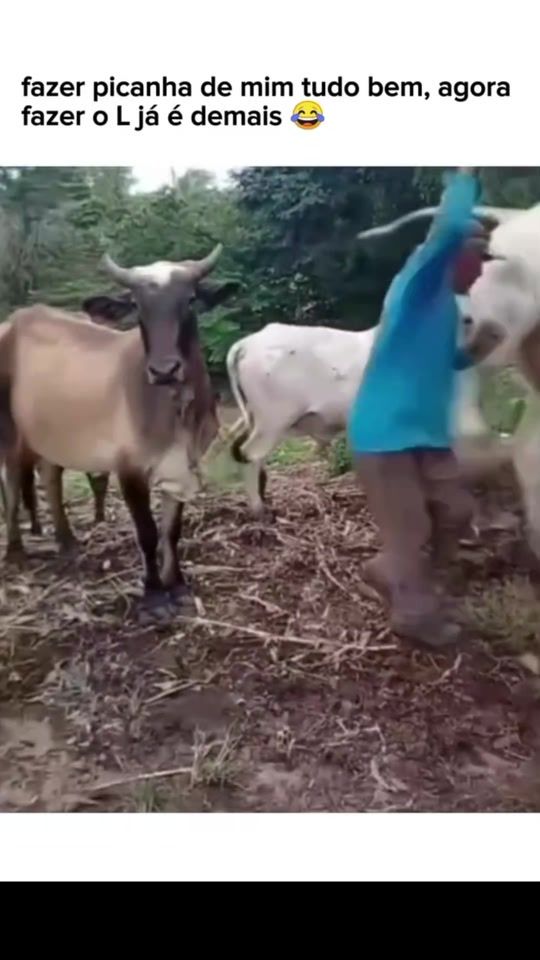 TikTok video thumbnail by sjoseleandro435