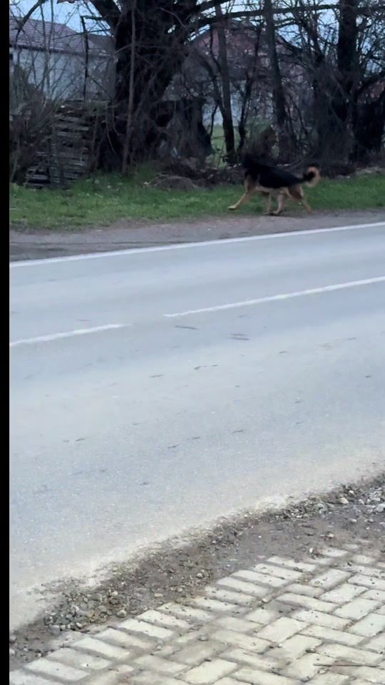 TikTok video thumbnail by pastorgerman1