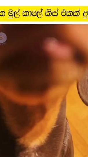 TikTok video thumbnail by tikiri2029