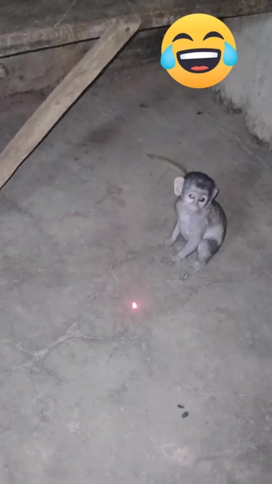 TikTok video thumbnail by bobosonti