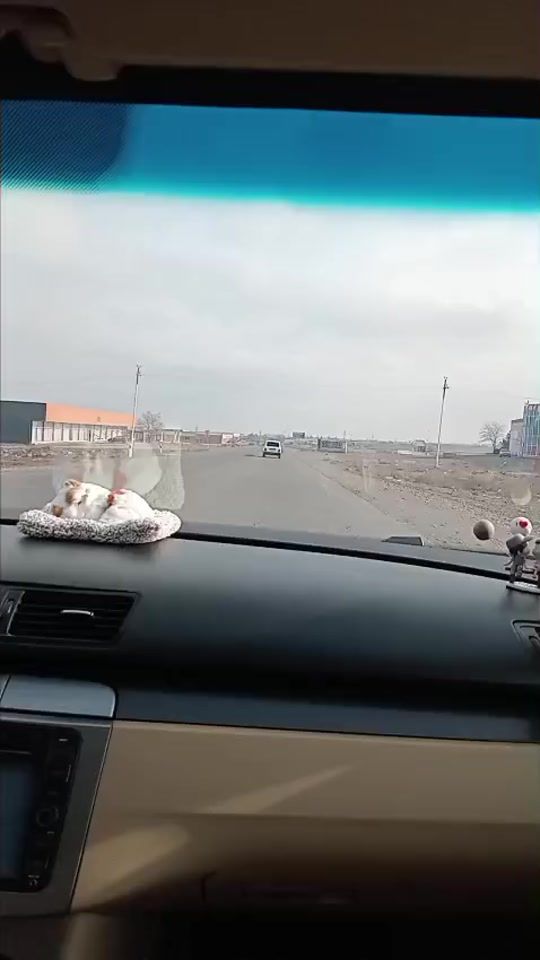 TikTok video thumbnail by qrm.rek