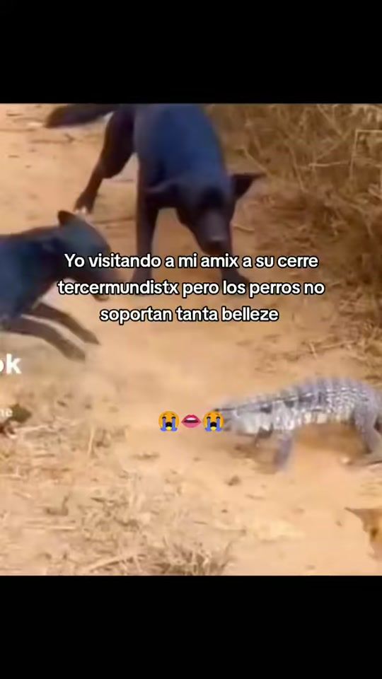 TikTok video thumbnail by jefferson2007_0